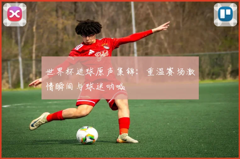 世界杯进球原声集锦：重温赛场激情瞬间与球迷呐喊