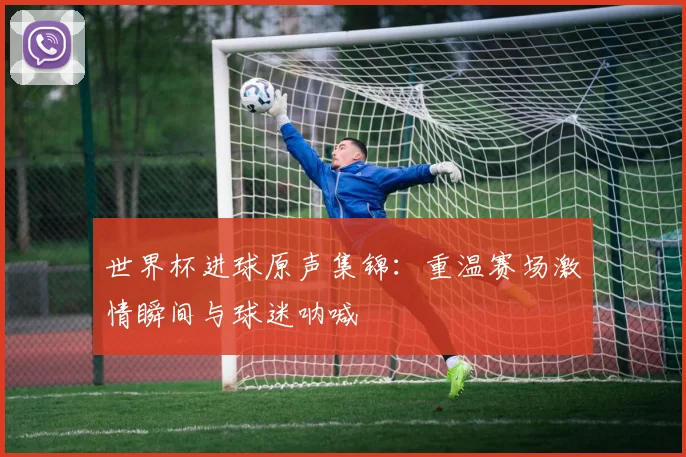 世界杯进球原声集锦：重温赛场激情瞬间与球迷呐喊